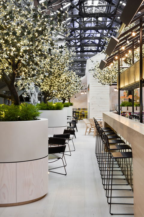 Ovolo Woolloomooloo - South Australia Travel 0