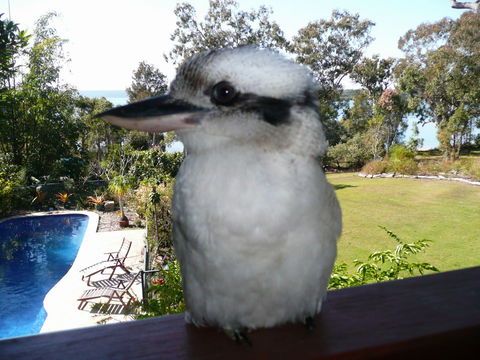 Yarrandabbi Dreaming Boutique B&B - South Australia Travel 2