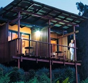 O'Reilly's Rainforest Guesthouse - South Australia Travel 1