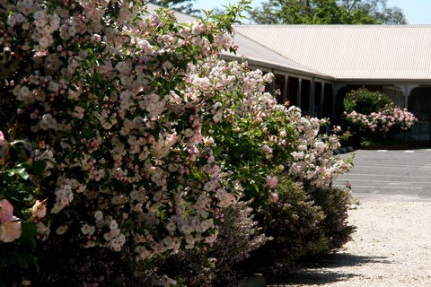 Wine Village Motor Inn - South Australia Travel 0