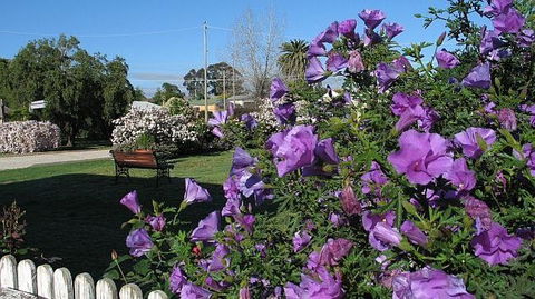 Wine Village Motor Inn - South Australia Travel 15