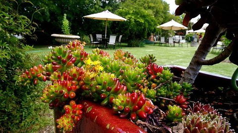 Wine Village Motor Inn - South Australia Travel 17