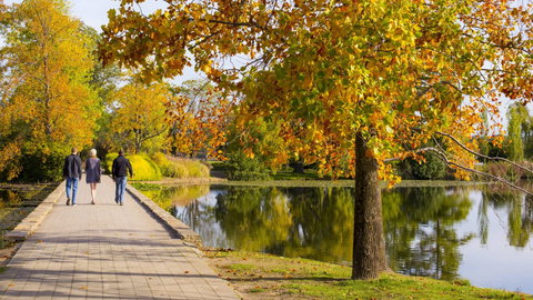 Crowne Plaza Canberra - South Australia Travel 17