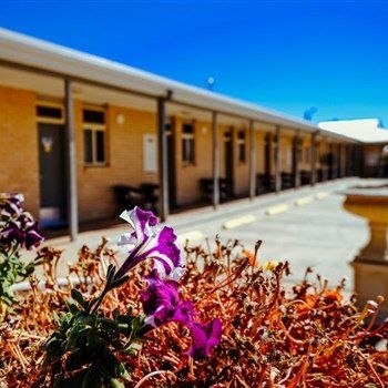 MAS Country Club Motor Inn - South Australia Travel 1
