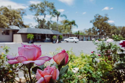 Artesian Spa Motor Inn - South Australia Travel 2