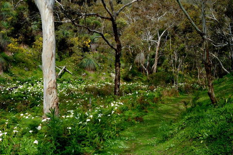 Lure Bed And Breakfast - South Australia Travel 17
