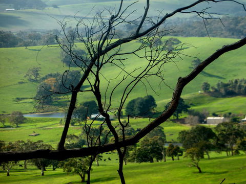 Lure Bed And Breakfast - South Australia Travel 21