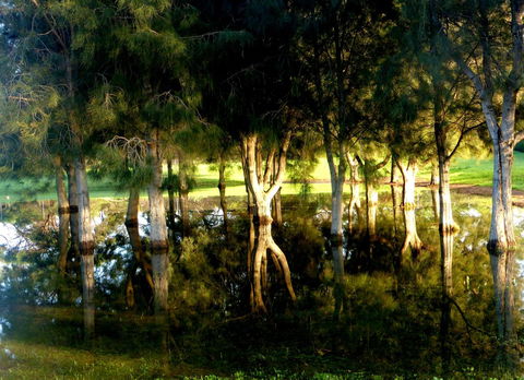 Lure Bed And Breakfast - South Australia Travel 18