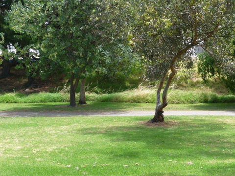 Victor Harbor Holiday Park - South Australia Travel 24