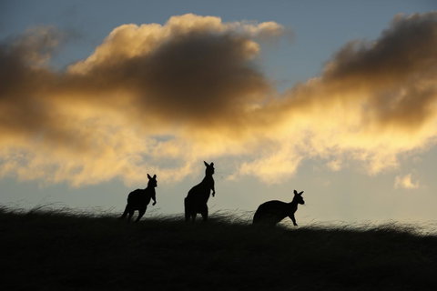 Sky House Kangaroo Island - South Australia Travel 37