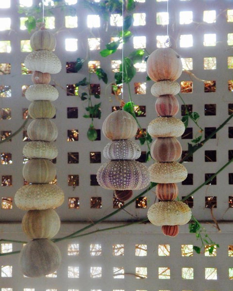 Driftwood On Dover - South Australia Travel 11