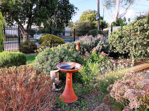Beautiful Garden House - South Australia Travel 21