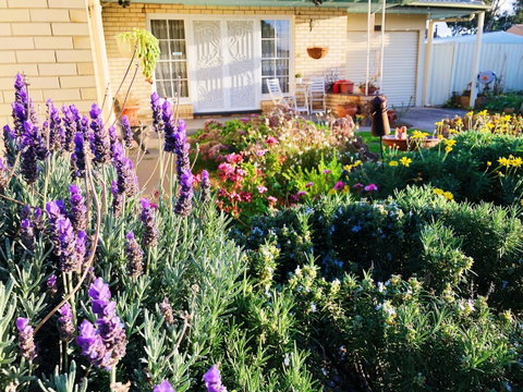 Beautiful Garden House - South Australia Travel 9