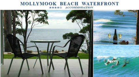 Mollymook Beach Waterfront - South Australia Travel 1