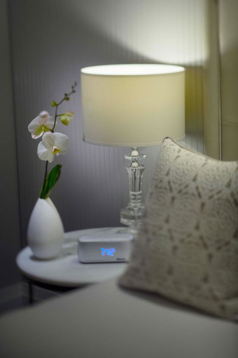 Mayfair Hotel - South Australia Travel 13