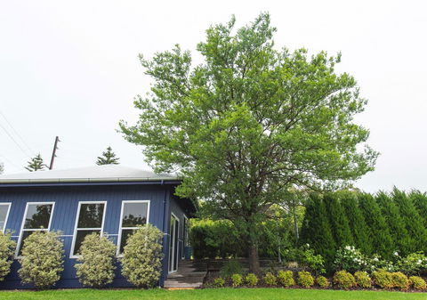 S T U D I O 22 Peaceful Retreat With Garden Views - South Australia Travel 11