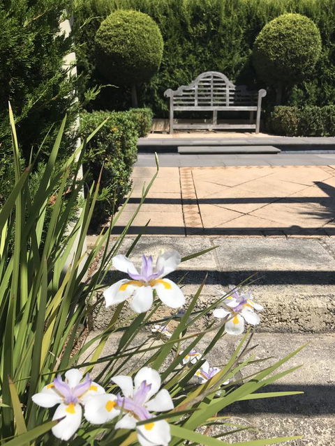 S T U D I O 22 Peaceful Retreat With Garden Views - South Australia Travel 13