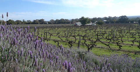 Grassmere House Magill - South Australia Travel 25