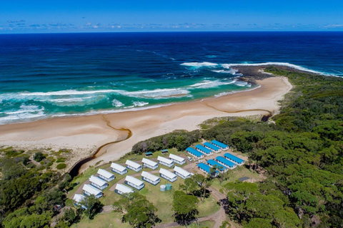 BIG4 Tasman Holiday Parks - Racecourse Beach - South Australia Travel 0