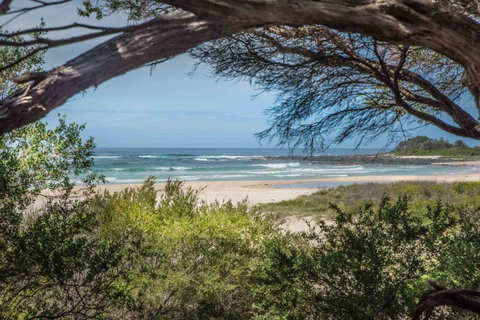 BIG4 Tasman Holiday Parks - Racecourse Beach - South Australia Travel 7