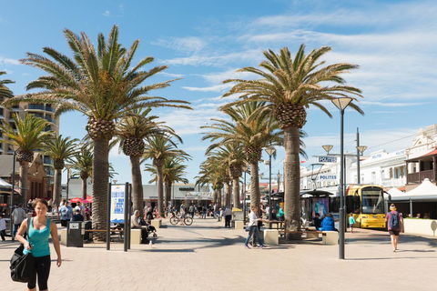 Luxury Beachside Accomodation - South Australia Travel 16