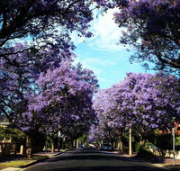 Monaco Court Apartment Adelaide - South Australia Travel