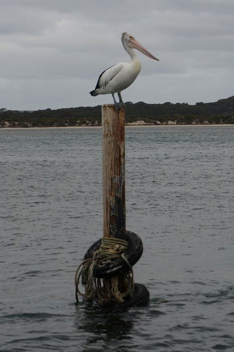 Kohinoor Getaway - South Australia Travel 13