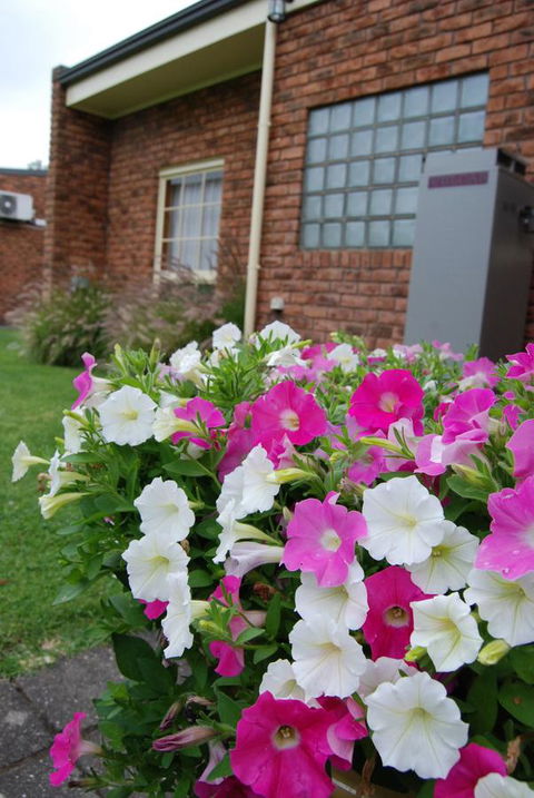 Arkana Motor Inn & Terrace Apartments - South Australia Travel 40