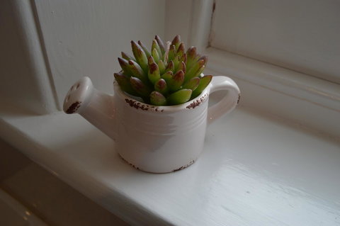 Two Cow Cottage Bed & Breakfast - South Australia Travel 21