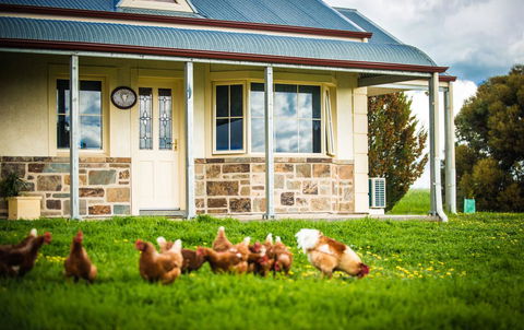 Barossa Vineyard Cottages - South Australia Travel 40