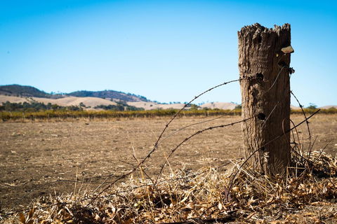 Barossa Vineyard Cottages - South Australia Travel 5