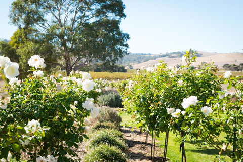 Barossa Vineyard Cottages - South Australia Travel 1