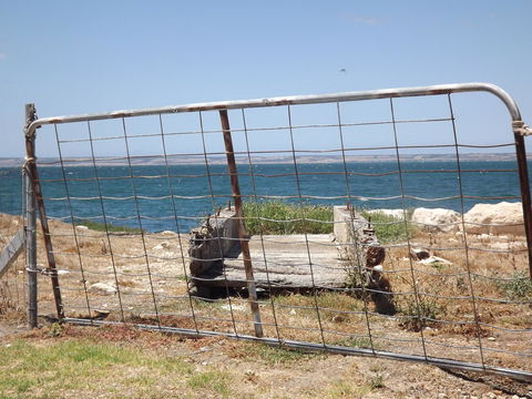 Home On Torrens - South Australia Travel 15