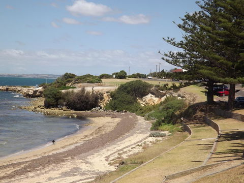 Home On Torrens - South Australia Travel 19
