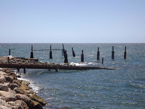 Home On Torrens - South Australia Travel 14