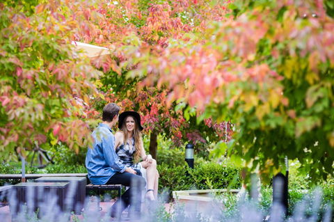 The Studios By Manna, Ascend Hotel Collection - South Australia Travel 26
