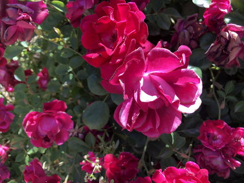 Blyth Cottage Burra - South Australia Travel 20