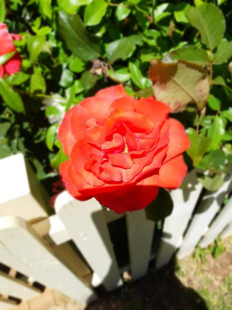 Blyth Cottage Burra - South Australia Travel 23