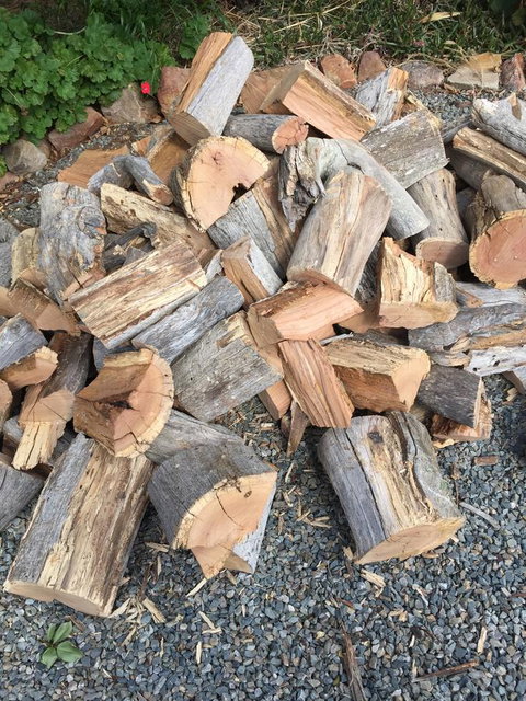 Blyth Cottage Burra - South Australia Travel 17