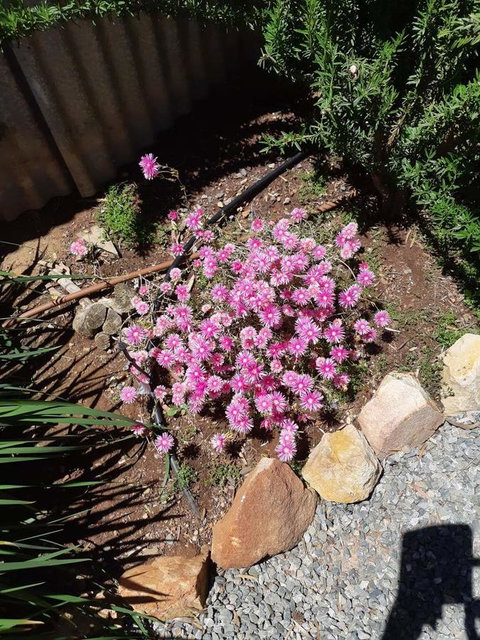 Blyth Cottage Burra - South Australia Travel 19