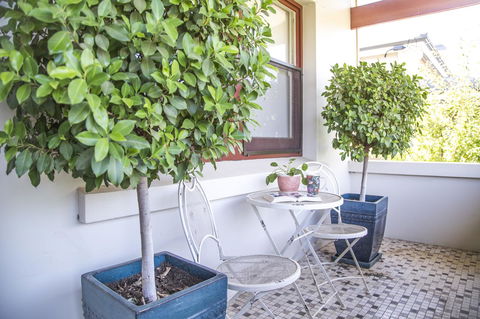 Mataro Cottage - South Australia Travel 2