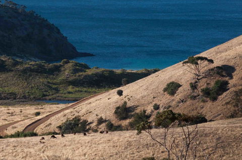 Admirals Inn - South Australia Travel 44