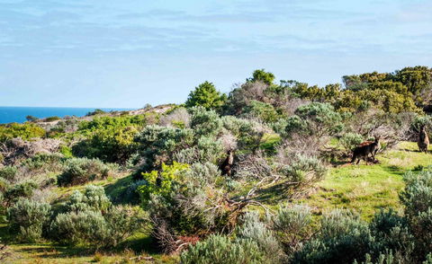 Admirals Inn - South Australia Travel 36