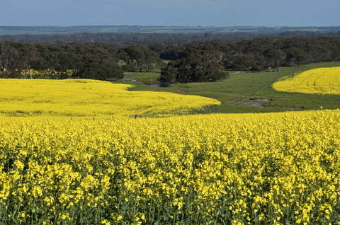 Admirals Inn - South Australia Travel 41