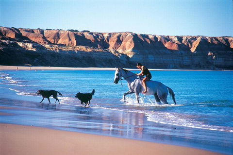 Lavina Luxury Beach House - South Australia Travel 25