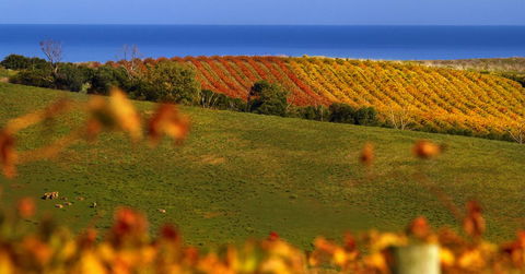 Lavina Luxury Beach House - South Australia Travel 14
