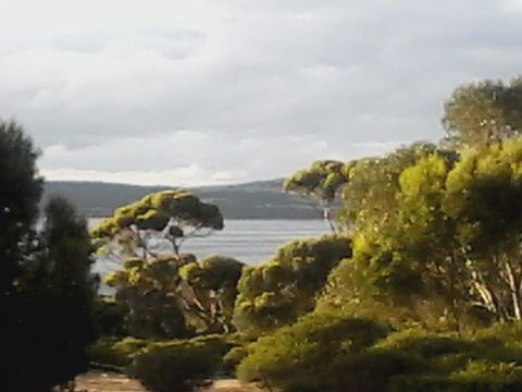 Mallee Bark Retreat - South Australia Travel 11
