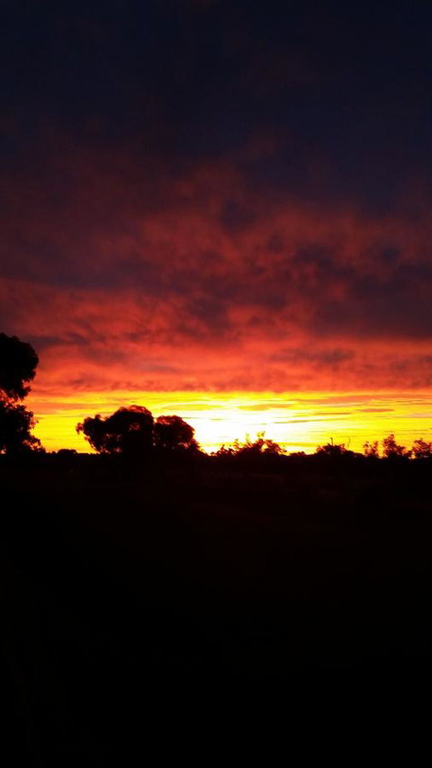 The Quorn-er House - South Australia Travel 27