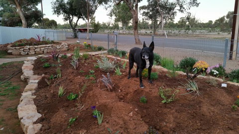 The Quorn-er House - South Australia Travel 6