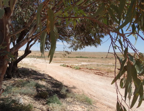Di's Place - South Australia Travel 17
